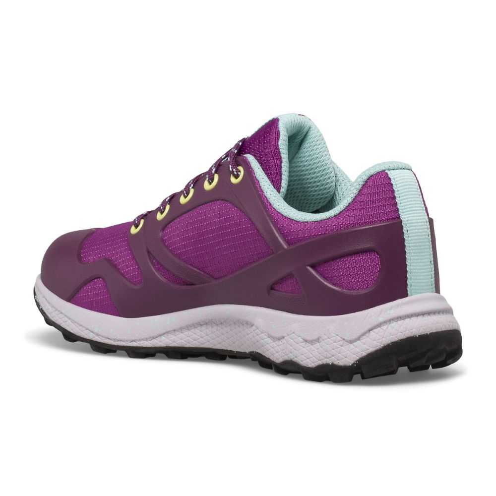 Boys' Merrell Altalight Low Sneakers Purple | Israel-908376