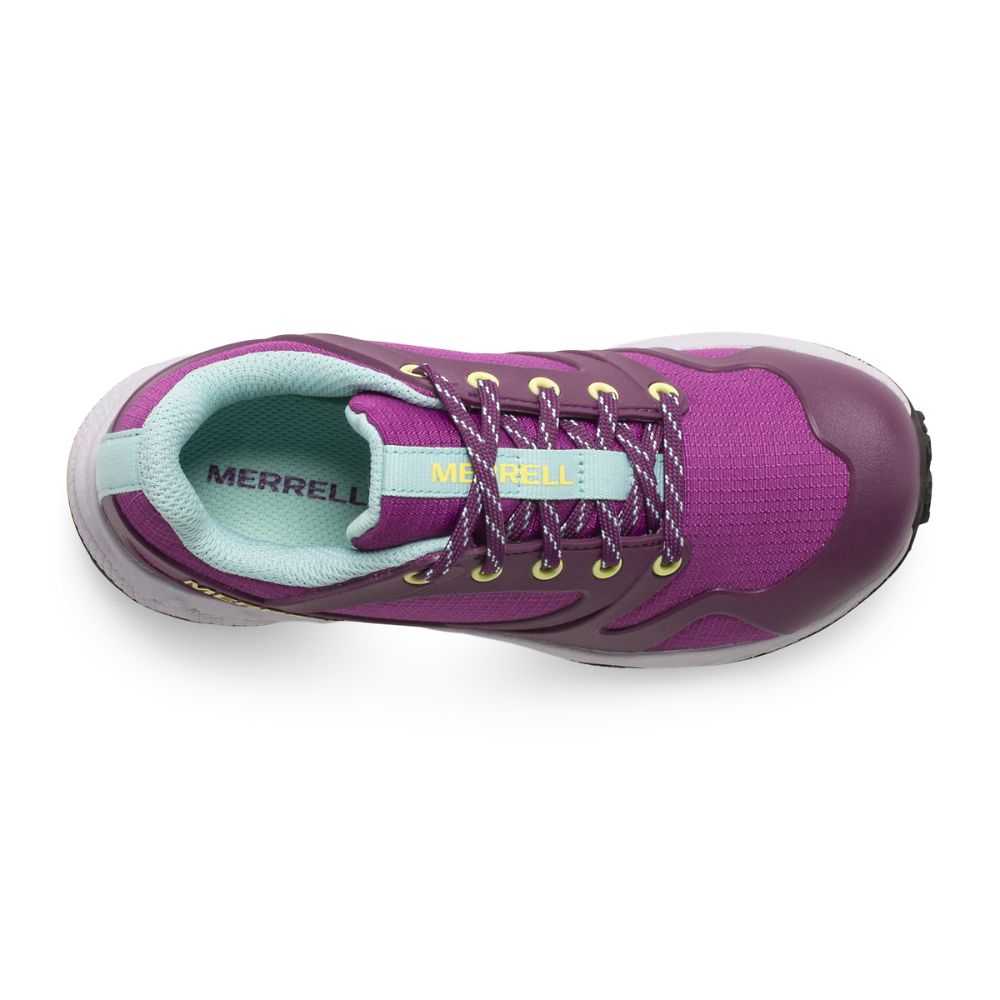 Boys' Merrell Altalight Low Sneakers Purple | Israel-908376