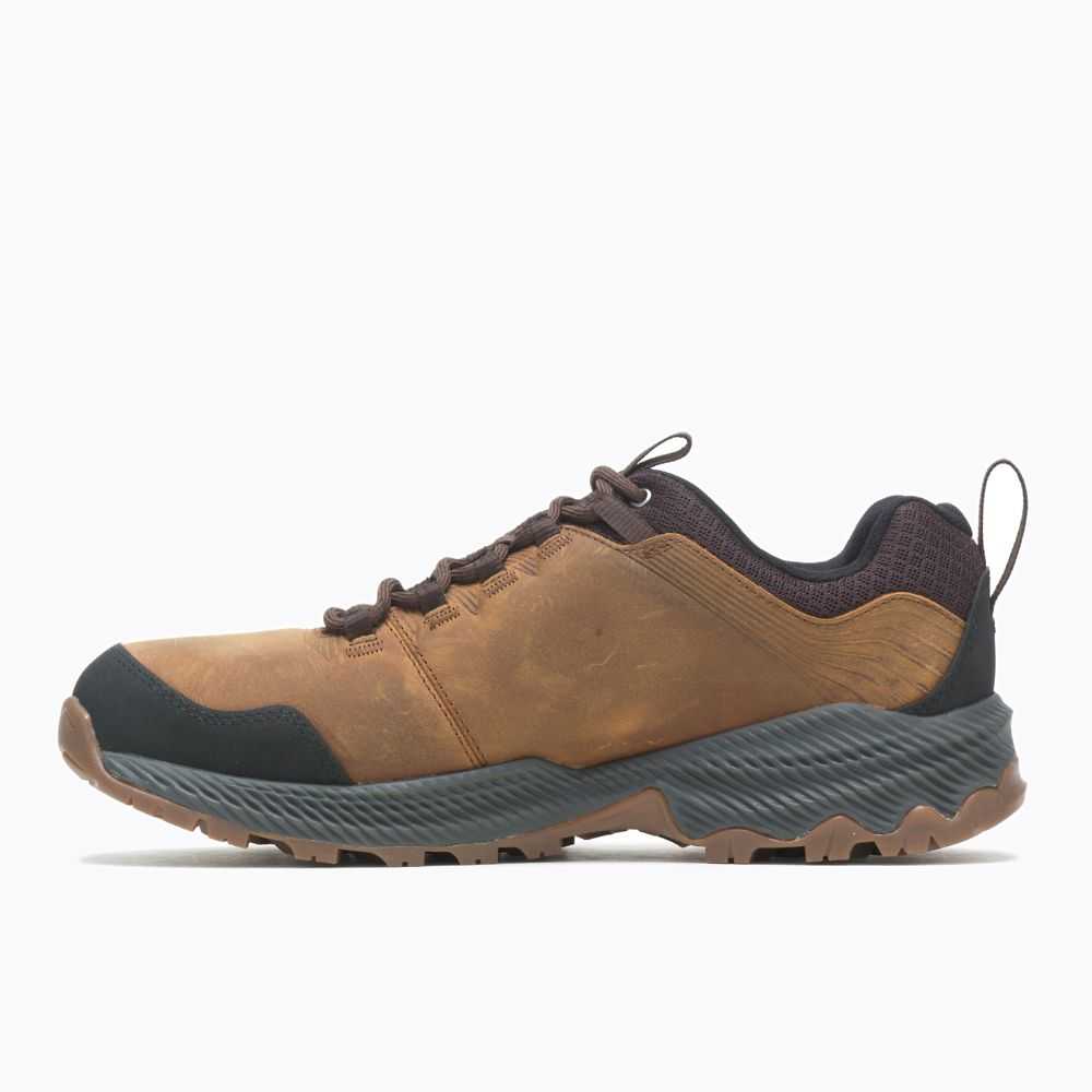 Men's Merrell Forestbound Hiking Shoes Brown | Israel-8140673