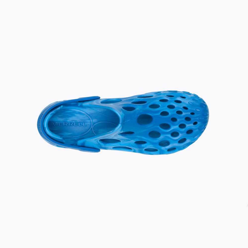 Men's Merrell Hydro Moc BLOOM® Sandals Blue | Israel-120793