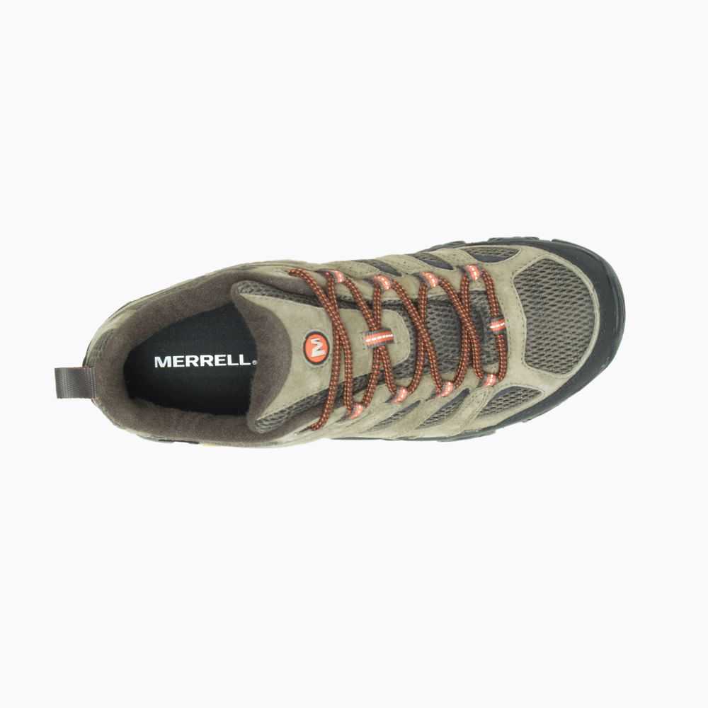 Men's Merrell Moab 3 GORE-TEX® Hiking Shoes Olive | Israel-8417639