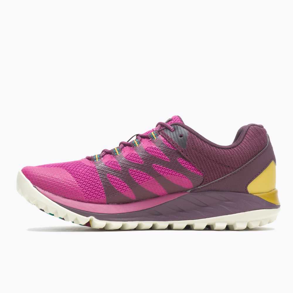 Women's Merrell Antora 2 Trail Running Shoes Fuchsia | Israel-8270436