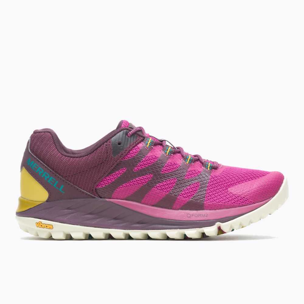 Women\'s Merrell Antora 2 Trail Running Shoes Fuchsia | Israel-8270436