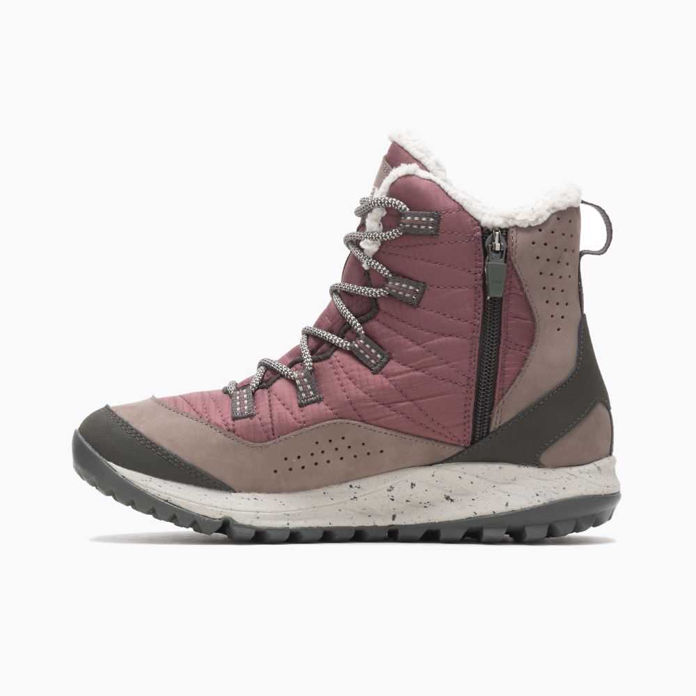 Women's Merrell Antora Sneakers Burgundy | Israel-086497