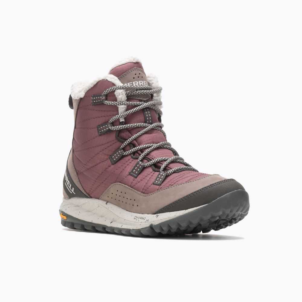 Women's Merrell Antora Sneakers Burgundy | Israel-086497