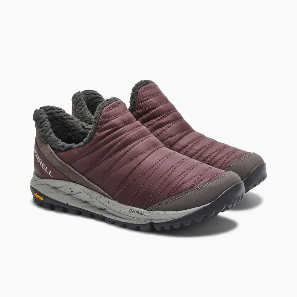 Women's Merrell Antora Sneakers Burgundy | Israel-278931