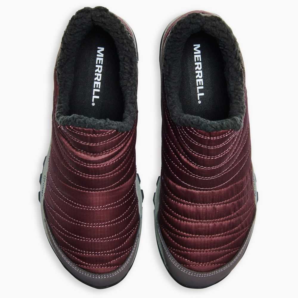 Women's Merrell Antora Sneakers Burgundy | Israel-278931