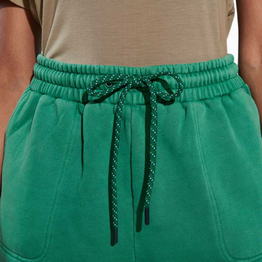 Women's Merrell Scout Shorts Green | Israel-269871