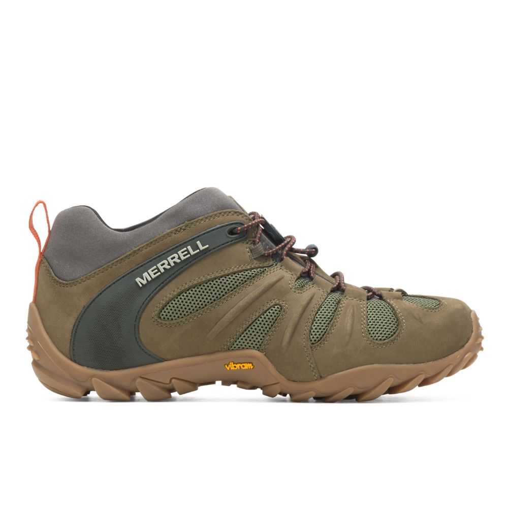 Men's Merrell Chameleon 8 Stretch Hiking Shoes Olive | Israel-372641