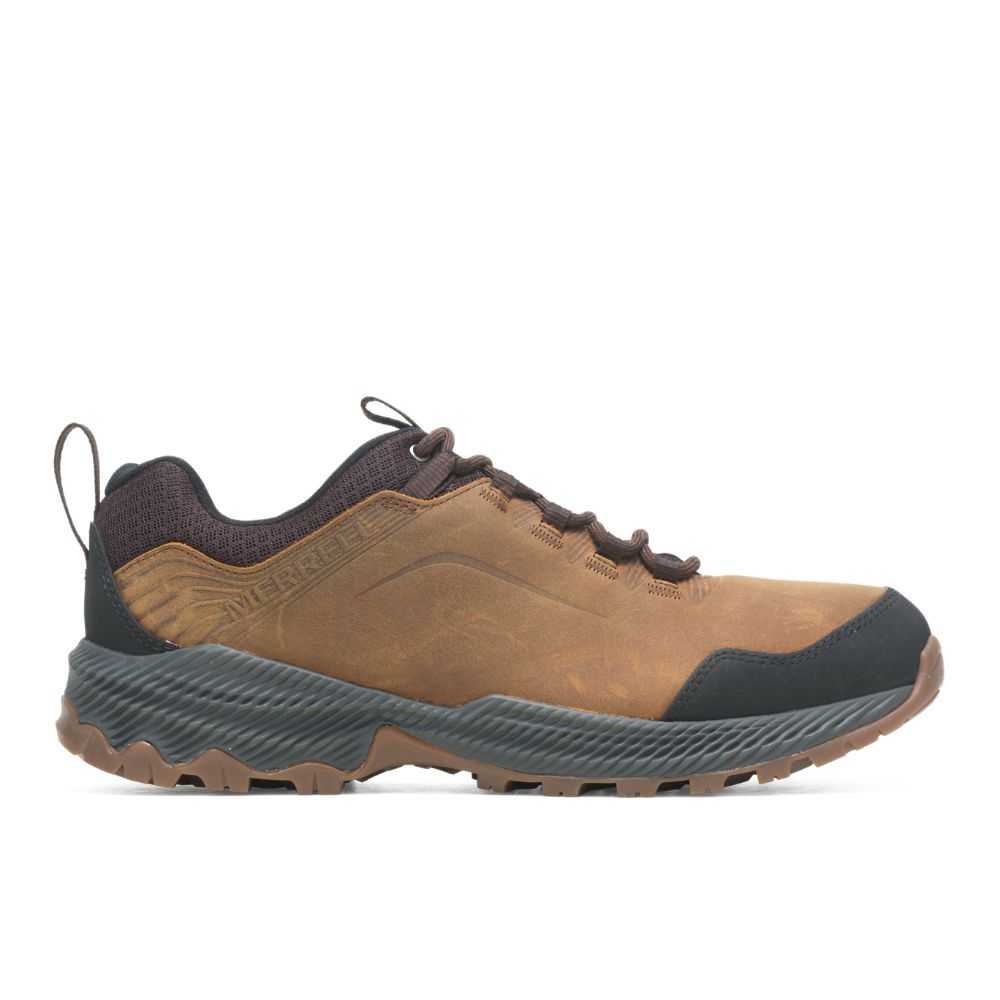 Men's Merrell Forestbound Hiking Shoes Brown | Israel-8140673