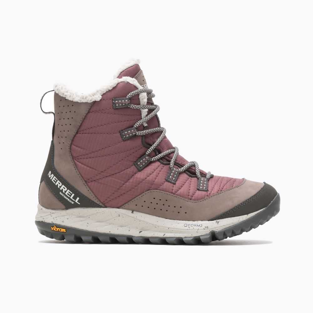 Women's Merrell Antora Sneakers Burgundy | Israel-086497